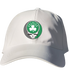 Boston Celtics Shamrock Stealie Dad Hat