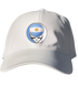 Argentina FIFA World Cup Stealie Dad Hat