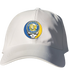 Hofstra Stealie Dad Hat