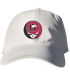 NIU Stealie Dad Hat