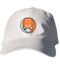 Illinois Stealie Dad Hat