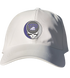 TCU Stealie Dad Hat