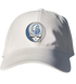 Drake Stealie Dad Hat