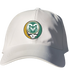 Colorado State Stealie Dad Hat