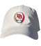 Denver Stealie Dad Hat