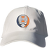 University of Illinois Stealie Dad Hat
