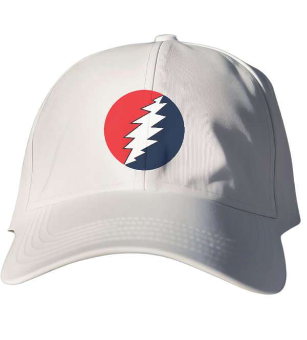 Classic Stealie Dad Hat