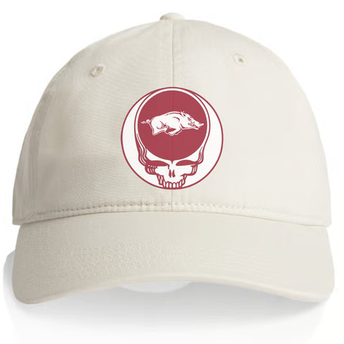 University of Arkansas Stealie Dad Hat