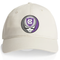 Holy Cross University Stealie Dad Hat