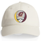 Central Michigan Stealie Dad Hat