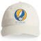Emory University Stealie Dad Hat