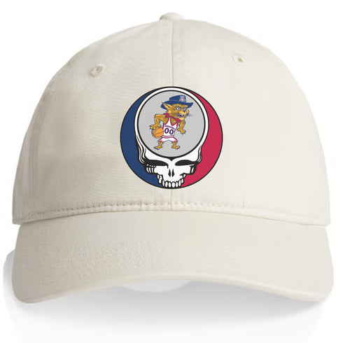 University of Arizona Stealie Dad Hat