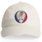 University of Arizona Stealie Dad Hat