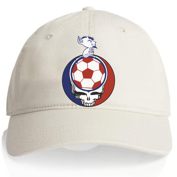 Depaul Billy Blue Stealie Dad Hat