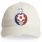Depaul Billy Blue Stealie Dad Hat