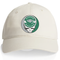 Babson College Stealie Dad Hat