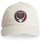 Albany Collegy of Pharmacy Stealie Dad Hat
