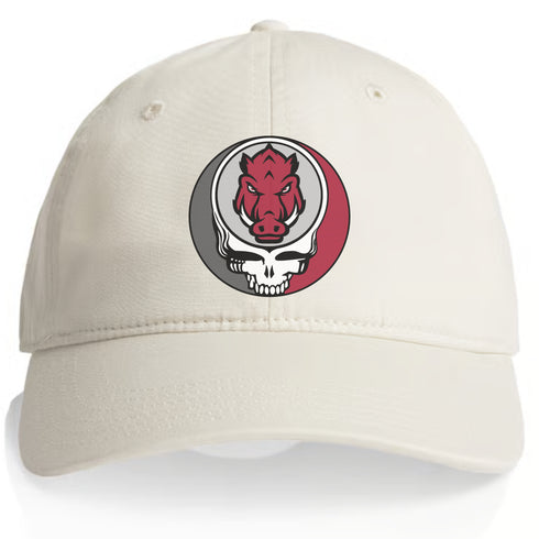 University of Arkansas Stealie Dad Hat