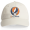 University of Illinois Stealie Dad Hat