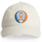 University of Illinois Stealie Dad Hat