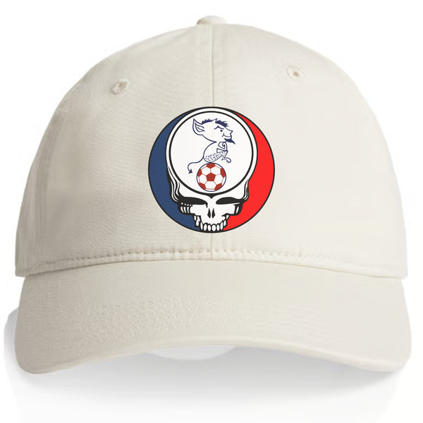 Depaul Billy Blue Stealie Dad Hat