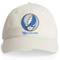 University of Buffalo Stealie Dad Hat