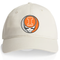University of Illinois Stealie Dad Hat