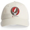 Brown University Stealie Dad Hat