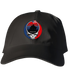 America 250 Iwojima Stealie - Life is dead.® Dad Hat