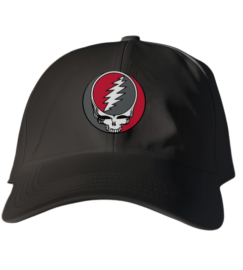 Houston Stealie Dad Hat