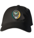 Wayne State Stealie Dad Hat