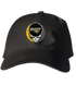 Towson Stealie Dad Hat