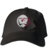 Southern Illinois Stealie Dad Hat