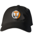 Tennessee Stealie Dad Hat