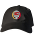 Flames Stealie Dad Hat
