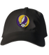LSU Stealie Dad Hat