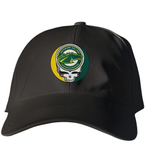 Skidmore Stealie Dad Hat