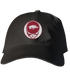 Arkansas Stealie Dad Hat
