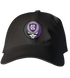 Holy Cross Stealie Dad Hat