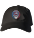Avalanche Stealie Dad Hat
