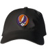 Clemson Stealie Dad Hat