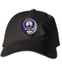 Rockies Stealie Dad Hat