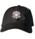 USA Stealie Dad Hat
