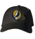 Notre Dame Stealie Dad Hat
