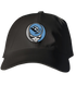 Mammoth Stealie Dad Hat