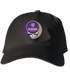 Sewanee Stealie Dad Hat
