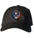 Astros Stealie Dad Hat