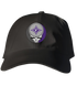 Furman Stealie Dad Hat