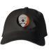 Fashion Institute of Technology Stealie Dad Hat