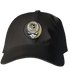 CU Denver Stealie Dad Hat